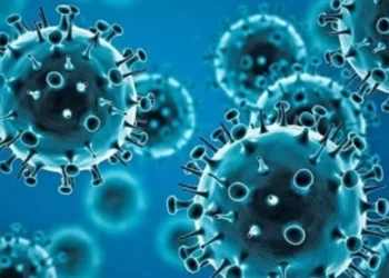 The  World  Coronaviruses as COVID-19.