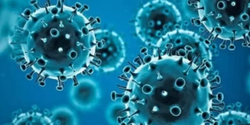 The  World  Coronaviruses as COVID-19.