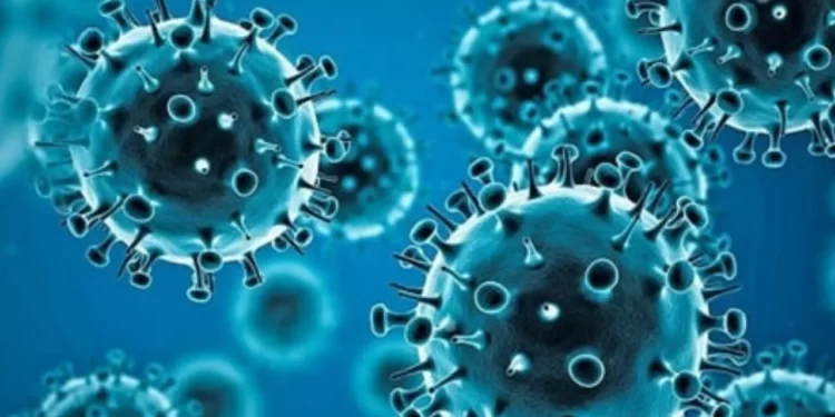 The  World  Coronaviruses as COVID-19.