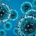 The World Coronaviruses as COVID-19.