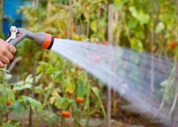Efficiently Water Your Garden with a Garden Watering Timer