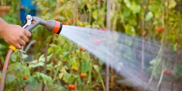 Efficiently Water Your Garden with a Garden Watering Timer