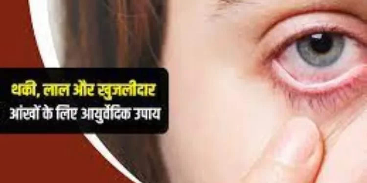 Understanding Sodomy: An Exploration Of Sodomy In The Context Of Women