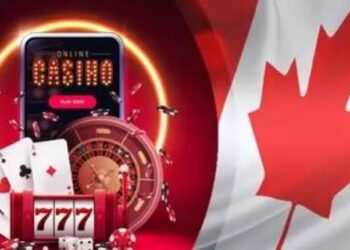 Major Playground – A Review Of A Toto Site