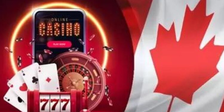 Major Playground – A Review Of A Toto Site