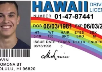 Unveiling The Truth About Fake ID Websites: Risks, Consequences, And Warnings