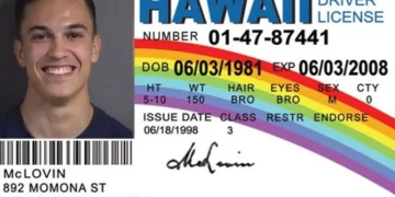Unveiling The Truth About Fake ID Websites: Risks, Consequences, And Warnings