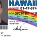 Unveiling The Truth About Fake ID Websites: Risks, Consequences, And Warnings