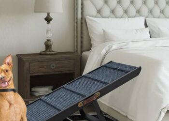 How Dog Ramp Can Help Your Dog Stay Active And Healthy?