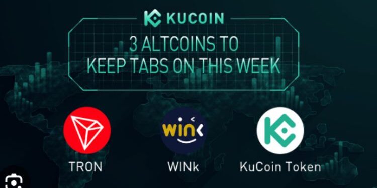 AMC Stonk-O-Tracker: Riding The Rollercoaster Of AMC Entertainment Stock