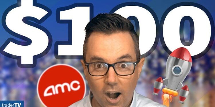 Stonk O Tracker Review