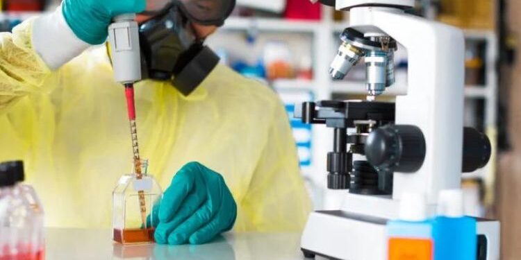 How PaxMedica Stock Traders Use Financial Ratios To Evaluate PaxMedica Stock