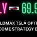 YieldMax TSLA Option Income Strategy ETF