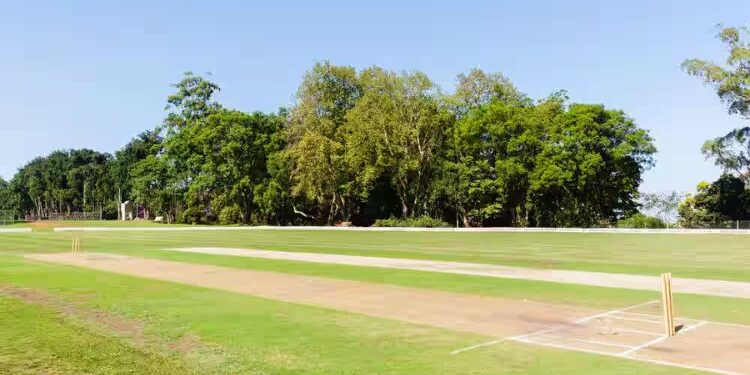 How To Search For An Open Cricket Ground Near Me